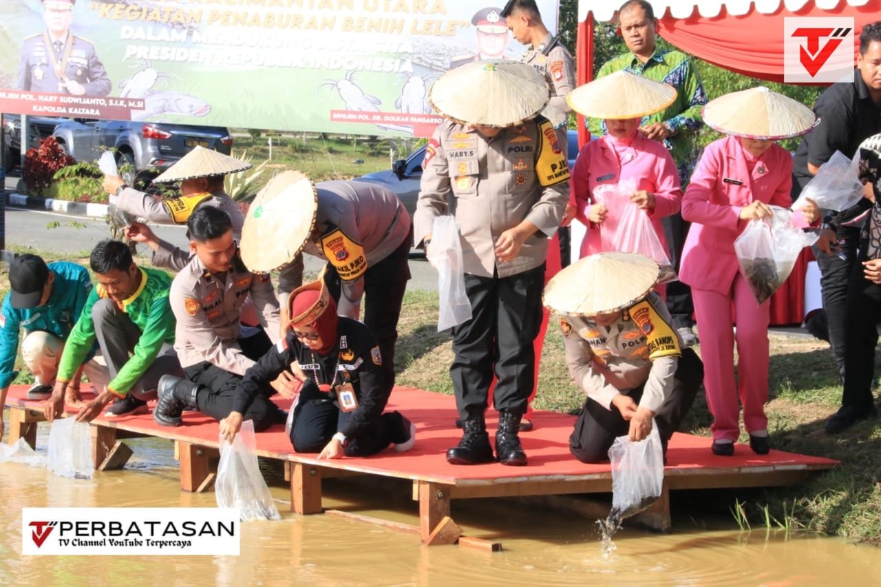 Penebaran Benih Ikan Lele oleh Polda Kaltara Dalam Rangka Mendukung Swasembada Pangan