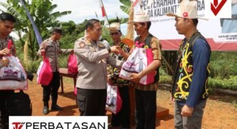 Kapolda Kaltara Serahkan 800 Bibit kepada Kelompok Tani di Long Ampung: Dorong Ketahanan Pangan di Perbatasan