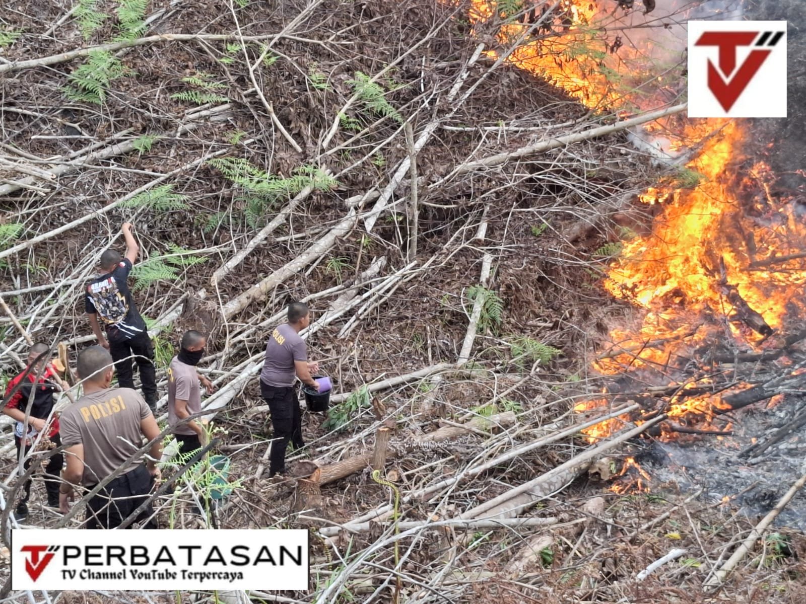 Ditsamapta Polda Kaltara Berjibaku Padamkan Karhutla di Tanjung Selor KM 6