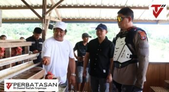 Dukung Ketahanan Pangan, Kapolda dan Wakapolda Kaltara Tinjau Budidaya Ayam Petelur di Desa Tanjung Agung