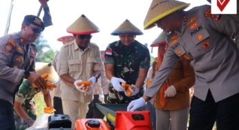 Wujudkan Swasembada, Kapolda Kaltara Pimpin Panen Raya Jagung Serentak di Tarakan