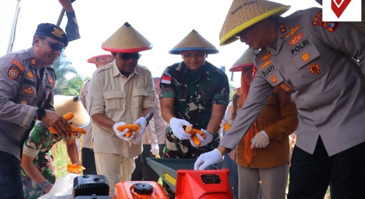 Wujudkan Swasembada, Kapolda Kaltara Pimpin Panen Raya Jagung Serentak di Tarakan