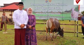 Peringati Idul Adha 1447 H, Polda Kaltara Gelar Pemotongan Hewan Kurban untuk Tingkatkan Iman dan Kepedulian Sosial
