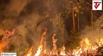 DIT SAMAPTA POLDA KALTARA BERSAMA BPBD KABUPATEN BULUNGAN GERAK CEPAT TANGANI KEBAKARAN LAHAN DI DESA APUNG
