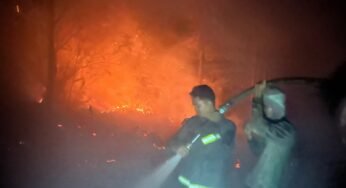 Berjibaku Dengan Api, Ditsamapta Polda Kaltara Gerak Cepat Tangani Kebakaran Lahan Seluas 2 Hektare di Desa Apung