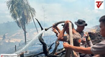 Ditsamapta dan Brimob Polda Kaltara Bergerak Cepat Padamkan Kebakaran Lahan Gambut 2 Hektar di Bulungan