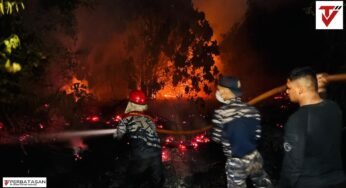 Ditsamapta Polda Kaltara Gerak Cepat Tangani Karhutla di Tanjung Selor